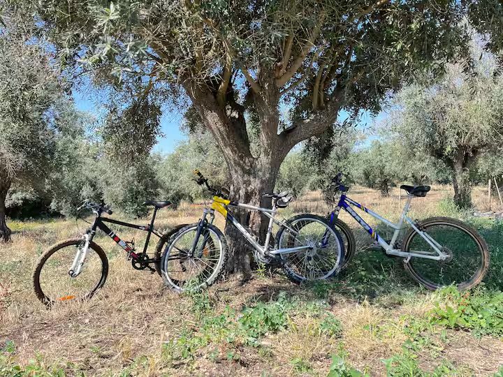 Bicicletas disponíveis na casa MonteZinho