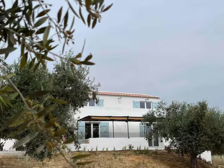 Exterior da casa MonteZinho, entre oliveiras